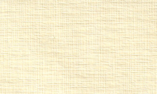 ぬのがみ クリーム 110kg