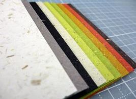 グムンドマザーアース-FSならんだmini