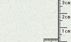 OKサンドカラー きゅうり 70kg