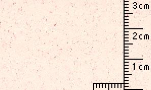 OKサンドカラー とまと 70kg