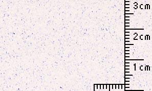 OKサンドカラー なす 70kg