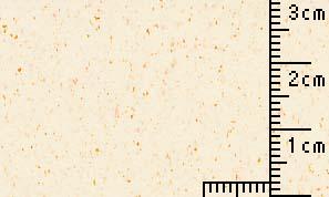 OKサンドカラー にんじん 70kg