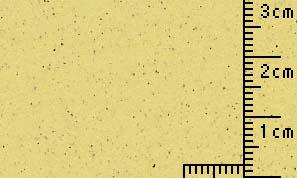 OKサンドカラー ライムグリーン 70kg