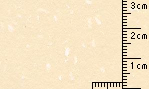 処分品 OKフェザ―ワルツ 象牙 120kg  100x148mm  50枚