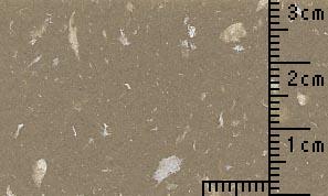 OKフェザーワルツ ラクダ 70kg
