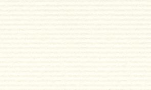 OKミューズコットン 純白 118kg