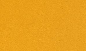 ウーペ イエロー 405kg