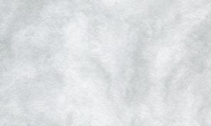 新アトモス シルバー 90kg