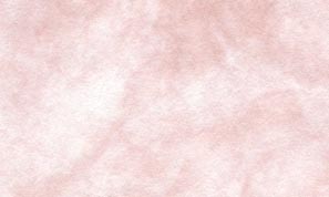 新 アトモス ボタン 170kg   55x91mmT 1008枚