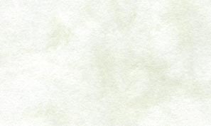 新アトモス ワサビ 90kg