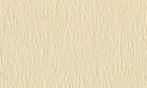 タント E-55 70kg