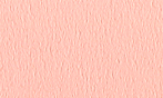 タント L-53 100kg
