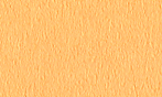 タント L-55 100kg