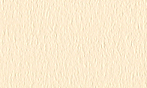 タント P-55 180kg