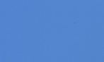 ファンタス 空 200kg