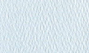 マーメイド パウダーブルー 110kg