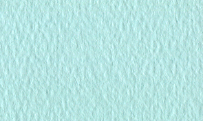 マ ―メイド ミント 153kg   515x728mmT 2枚