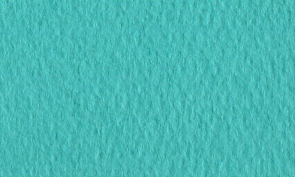 マーメイド ターコイズ 110kg