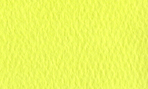 マーメイド ネオ・シトロン 110kg