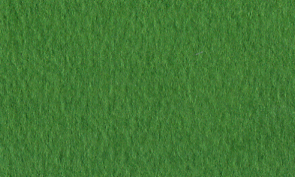 マ ―メイド カクタス 110kg   220x158mmY 80枚