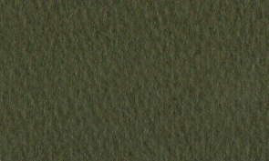 マーメイド ダークサファリ 110kg