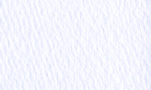 マーメイド フロスティホワイト 110kg