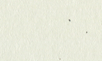 ま んだら うのはな 薄口   363x257mmY 450枚