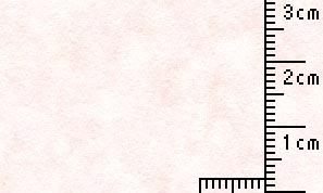 処分品 羊皮紙 白桜 80kg  A/4  10枚