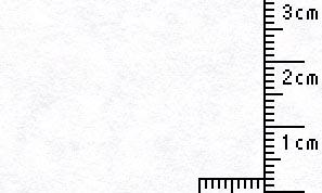 羊 皮紙N 雪 160kg   100x210mmT 60枚