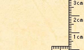 レザック66 クリーム 100kg