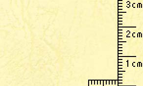 レ ザック66 玉子 175kg 215x297mmT 40枚