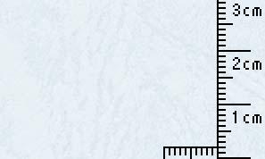 処分品 レザック66 水色 175kg  100x148mm  50枚