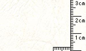 レザック66 雪 100kg