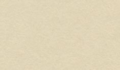 ビ オト―プGA-FS ナチュラルホワイト 170kg   281x108mmY 21枚