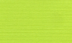 NTストライプGA 黄緑 100kg