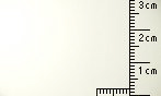 ペルーラ ホワイト 90kg
