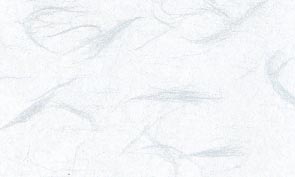 新大礼紙 華 シルバー 洋2封筒