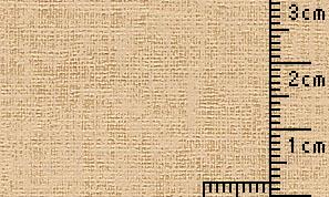 タントセレクトTS-1 N-13 100kg