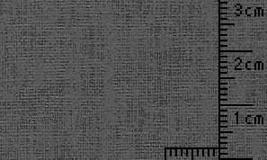 タントセレクトTS-1 S-3 100kg