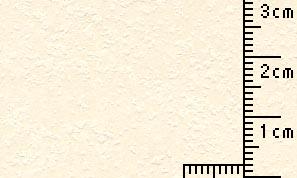 タントセレクトTS-3 N-7 130kg