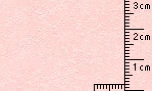 タントセレクトTS-3 P-50 100kg