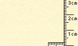タントセレクトTS-3 Y-6 130kg