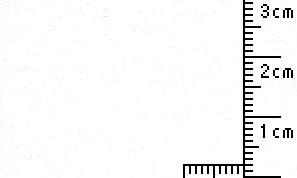タントセレクトTS-3 N-9 130kg