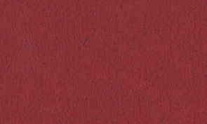 OKカイゼル アカネ 110kg