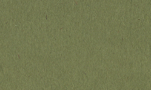 OKカイゼル オリーブ 110kg