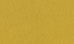 OKカイゼル カラシ 80kg