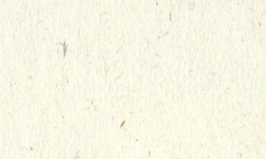 OKカイゼル 絹 80kg