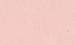 OKカイゼル 桜 80kg