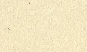 OKカイゼル 象牙 155kg