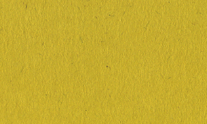 OKカイゼル 菜の花 80kg